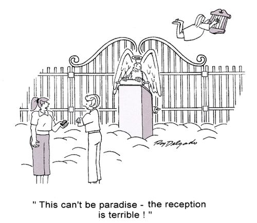 'This can't be paradise - the reception is terrible!'