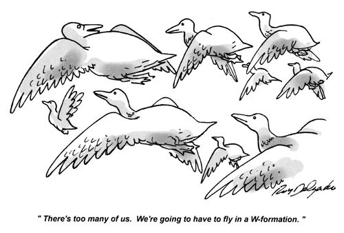 'There's too many of us. We're going to have to fly in a W-formation.'