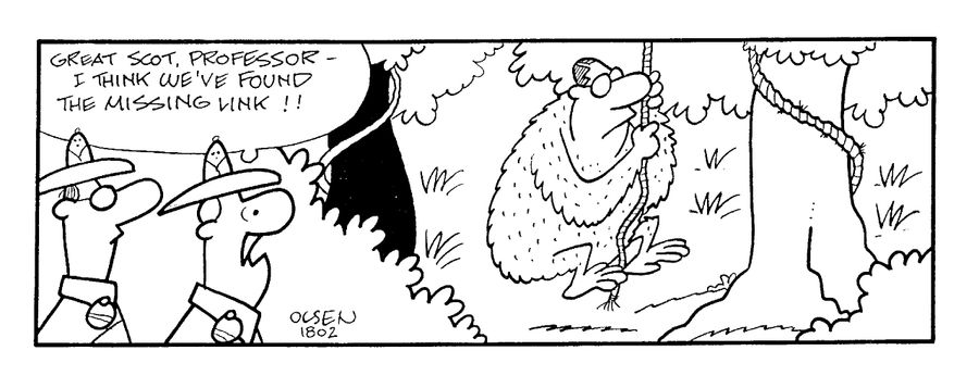 "...I think we've found the missing link!"