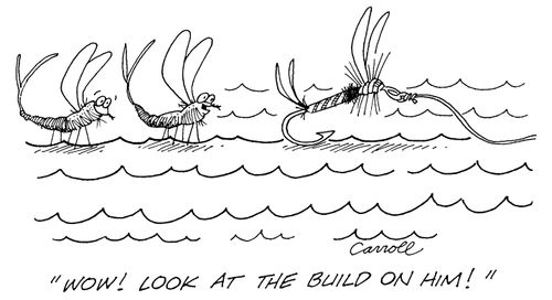 "Wow look at the build on him!"