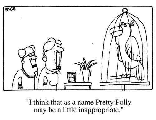 "I think Pretty Polly may be a little inapproriate."