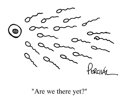 "Are we there yet?"