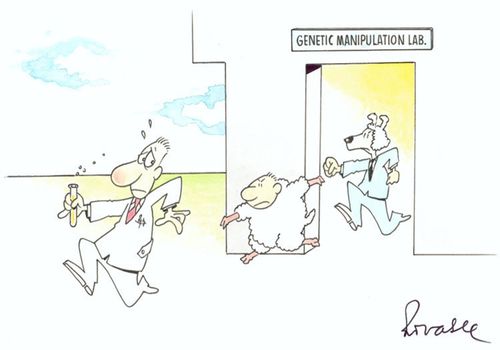 Genetic manipulation