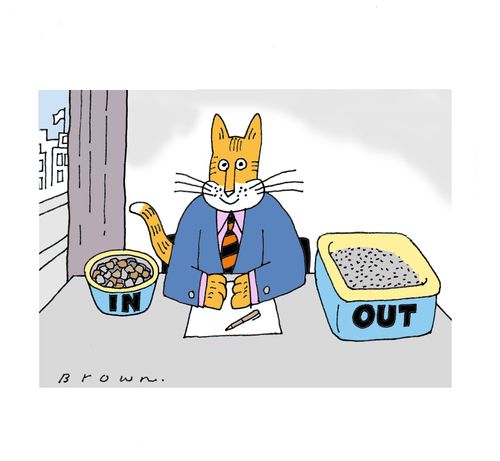 Corporate cat has IN bowl and OUT box on his desk.