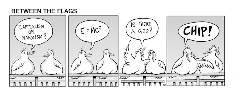Chip! - The important issue really, for seagulls.