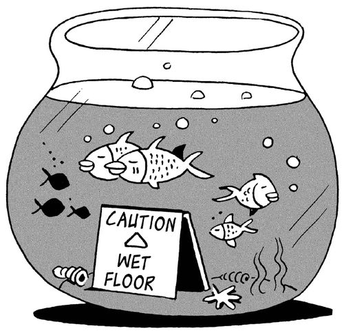 'Caution - wet floor' sign in fish tank.
