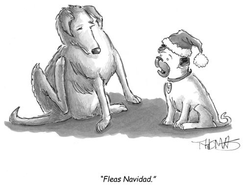 'Fleas Navidad.'