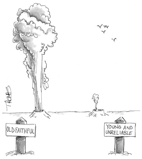 Two geysers-'Old Faithful' and 'Young and Unreliable'.