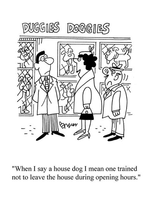 'When I say a house dog I mean one trained not to leave the house during opening hours.'