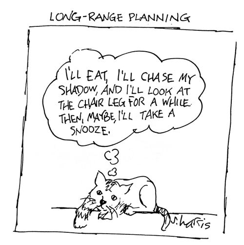 Long-range planning