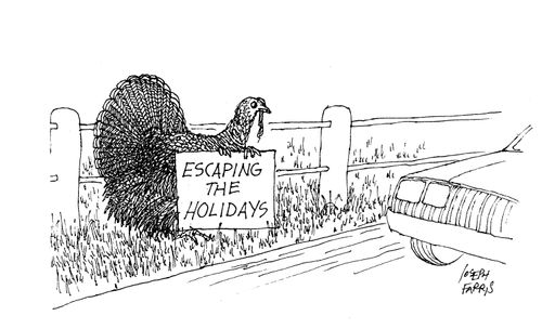 Turkey on the run.
