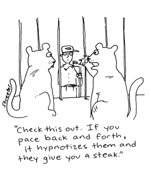 "Check this out.  If you pace back and forth, it hypnotizes them and they give you a steak."