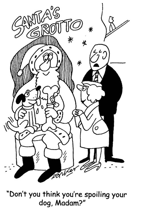 'Don't you think you're spoiling your dog,madam?