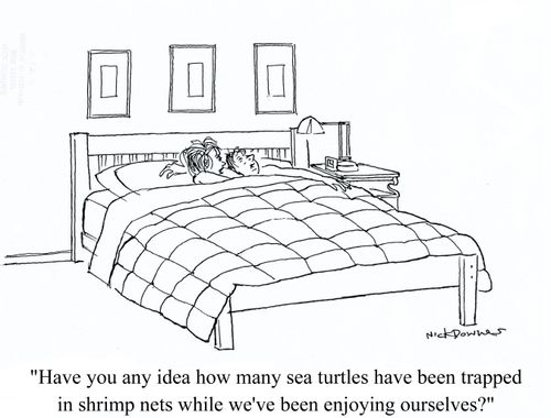 'Have you any idea how may sea turtles have been trapped in shrimp nets while we've been enjoying ourselves?' 