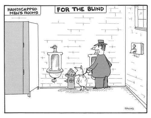Blind restroom