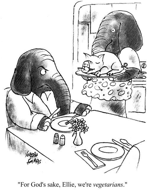 'For God's sake, Ellie, we're vegetarian.'