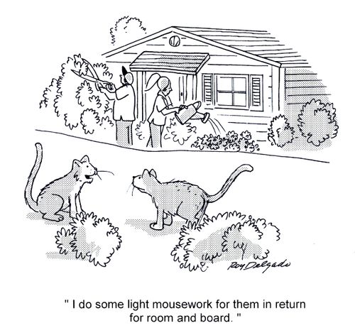 'I do some light mousework for them in return for room and board.'