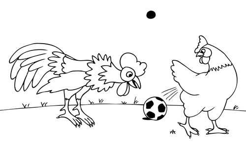 Chicken lays a football.