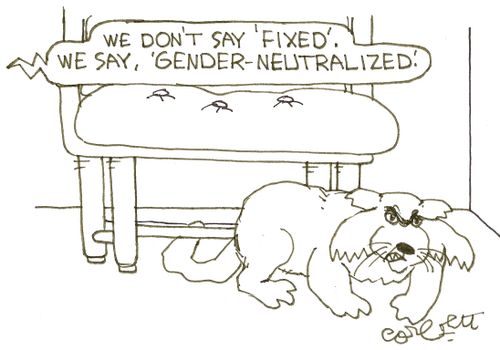 'We don't say 'fixed'.  We say, 'gender-neutralized'.