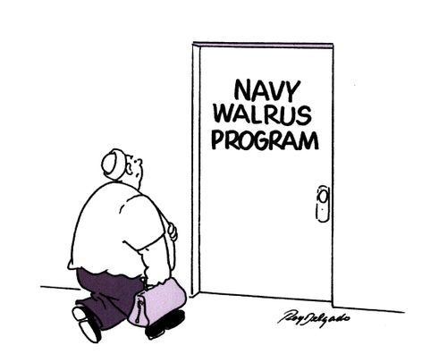 Navy Walrus Program.