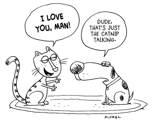 I Love You, Man!  Dude, that's just the catnip talking.