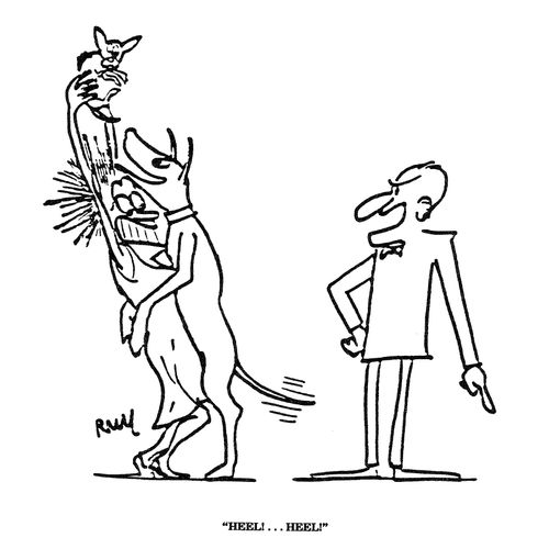'HEEL!...HEEL!'