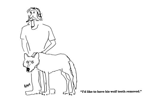 'I'd like to have his wolf teeth removed.'