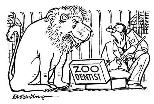 Zoo dentist.
