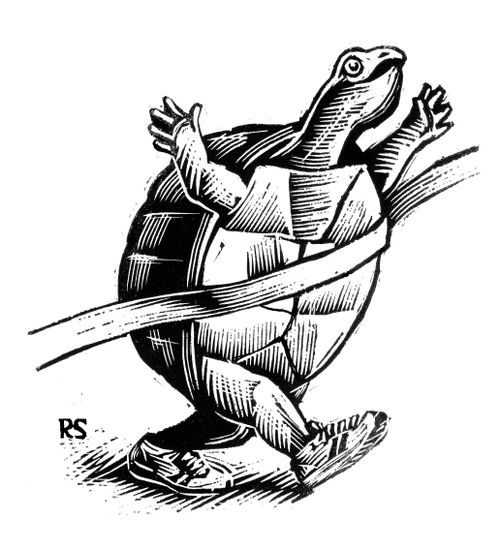The Victorious Turtle