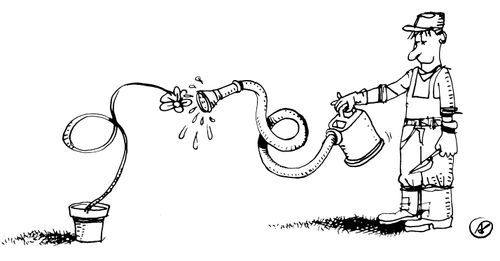Hose and Flower in Perfect Harmony.