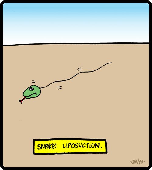 Snake liposuction.