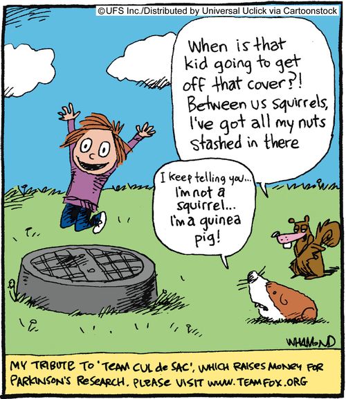 'When is that kid going to get off that cover? Between us squirrels, I've got all my nuts stashed in there.'