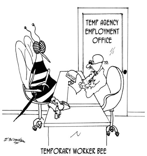 Temporary Worker Bee