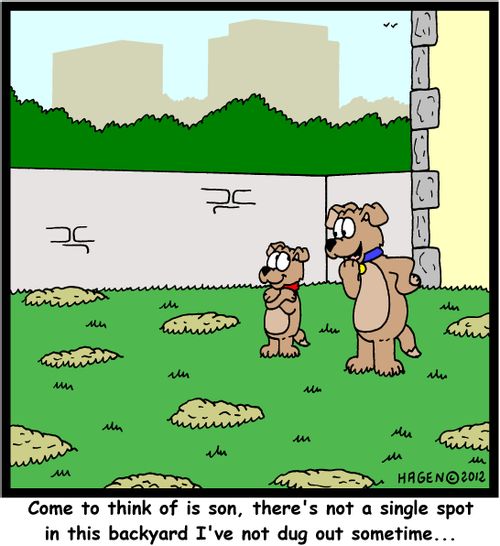 'Come to think of it son, there's not a single spot in this backyard I've not dug out sometime...'