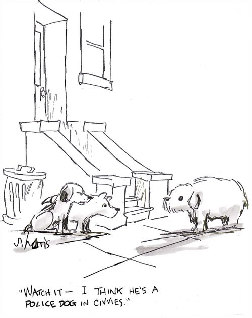 'Watch it - I think he's a police dog in civvies.'
