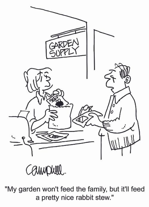 'My garden won't feed the family, but it'll feed a pretty nice rabbit stew.'