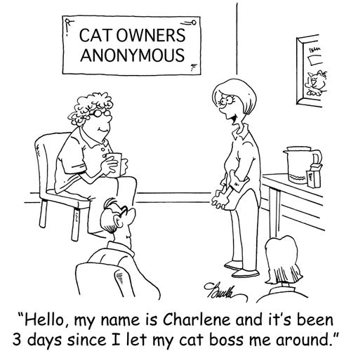 'Hello, my name is Charlene and it's been 3 days since I let my cat boss me around.'