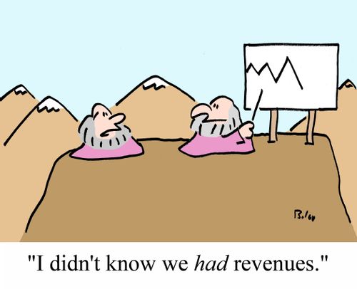 'I didn't know we HAD revenues.'