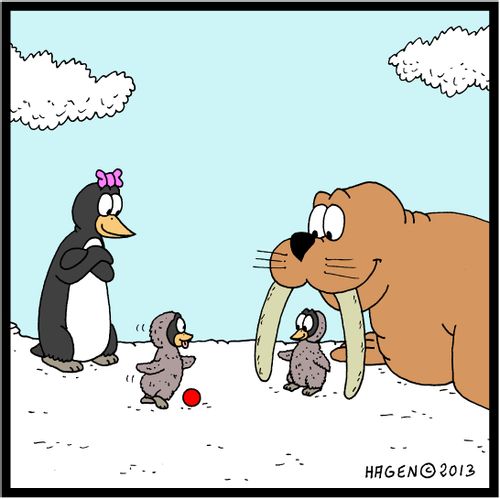 Baby penguin playing soccer and using a walrus tusks as goal posts.