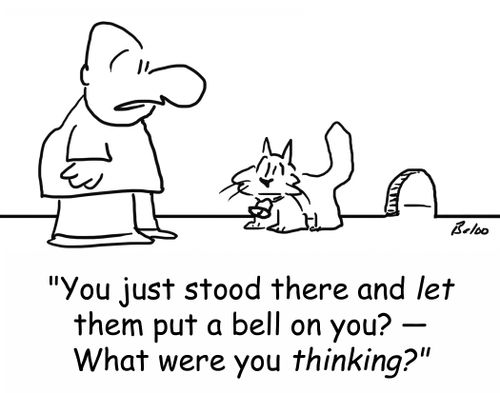 'You just stood there and let them put a bell on you? -- What were you THINKING?'