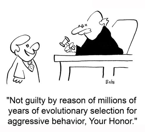 'Not guilty by reason of millions of years of evolutionary selection for aggressive behavior, Your Honor.'