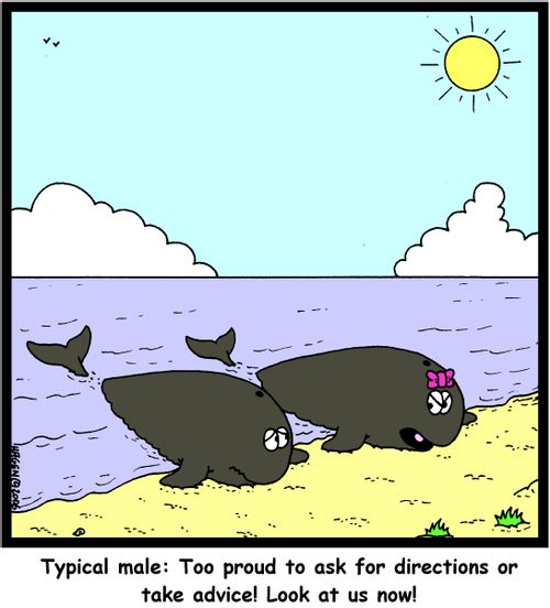 'Typical male: Too proud to ask for directions or take advice! Look at us now!'