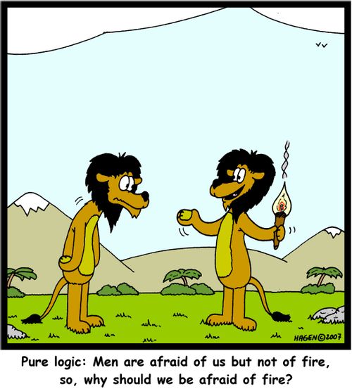 'Pure logic: Men are afraid of us but not of fire, so, why should we be afraid of fire?'