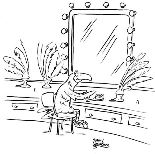 Parrot looking in mirror has feather headdress options.