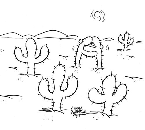 Cacti in desert hugging.