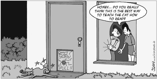 The best way to teach the cat how to read?