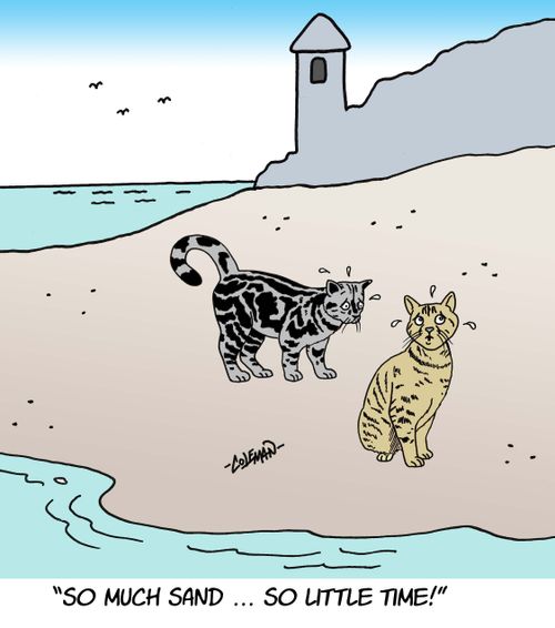So Much Sand ... So Little Time