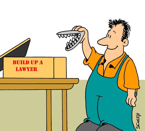 Build up a lawyer