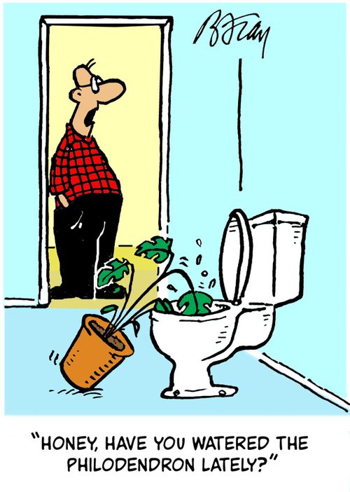 'Honey, have you watered the philodendron lately?'