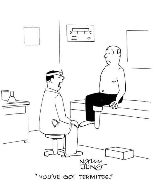 'You've got termites.'
